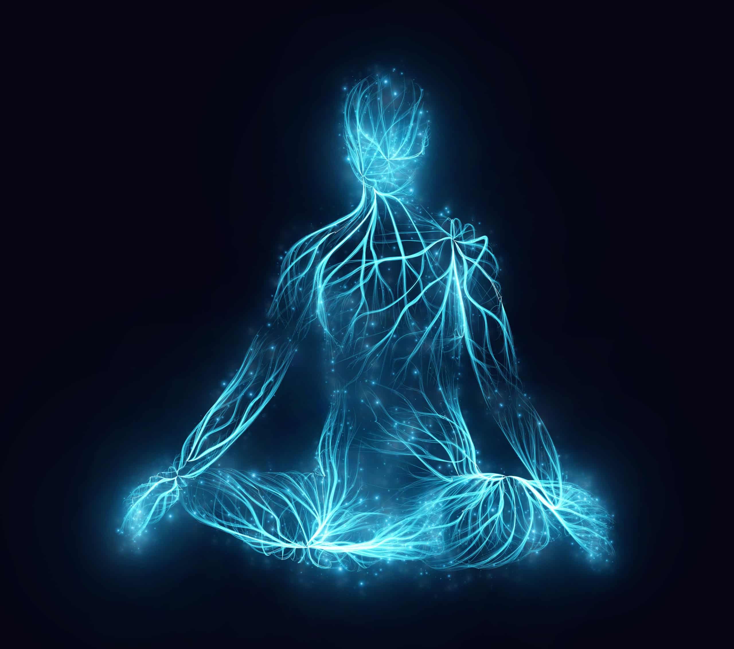 Finding Realization in the Body - Dharma Ocean Foundation